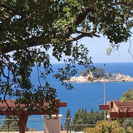 Villa Julia Petrovac Exterior foto